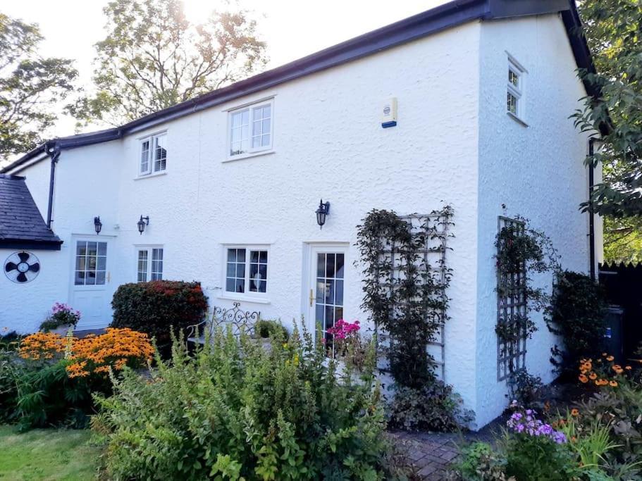 Rhos Y Bel Cottage Angelsey Llangadwaladr  Экстерьер фото